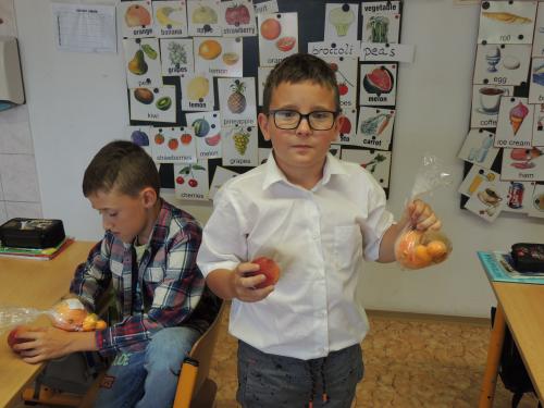 Projekt  Mléko a ovoce do škol