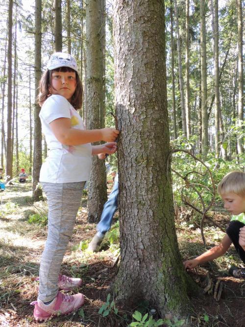 ŠD - Stavíme příbytky pro lesní obyvatele